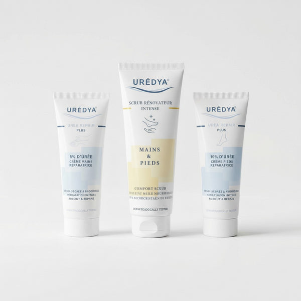 dermal repair protocol pour pack trio